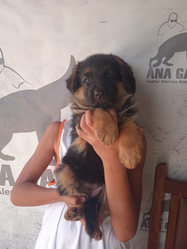 3f632e3f-918a-4f87-9136-d815f125f18b