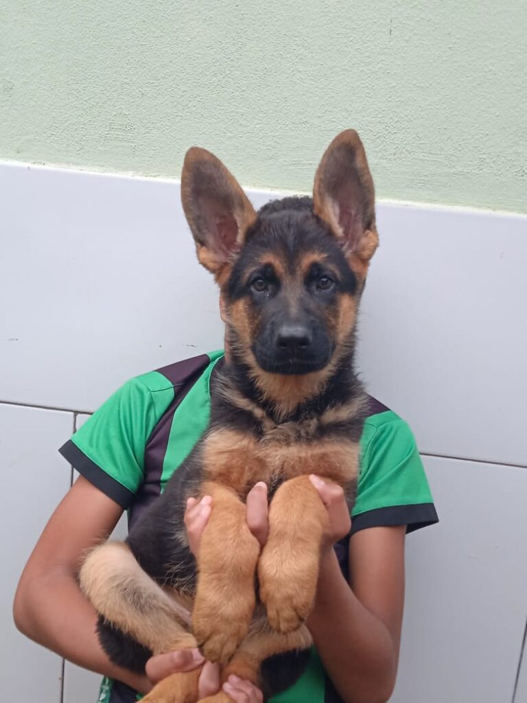 4b3fc2a9-d4fb-45ff-83b0-085db766a796