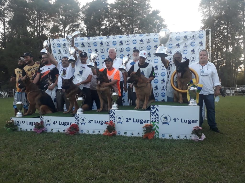 A94D73656BB99A198F8CF53F1CB3280D