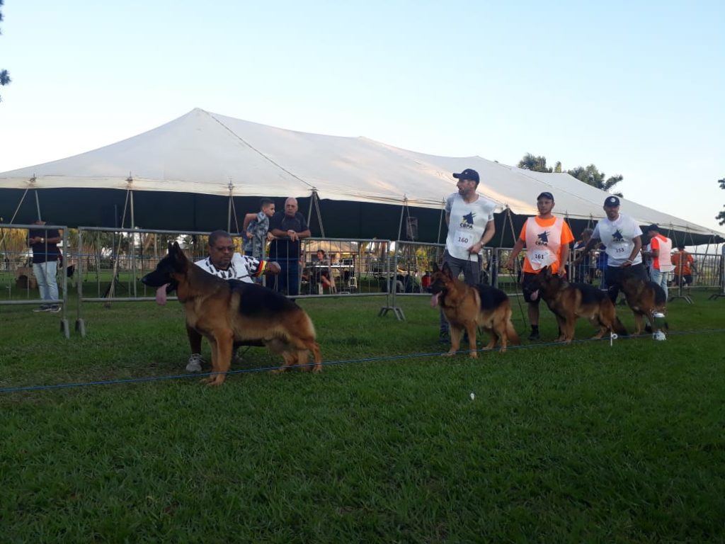 B50940C8AB2365AA98389507915B15FF