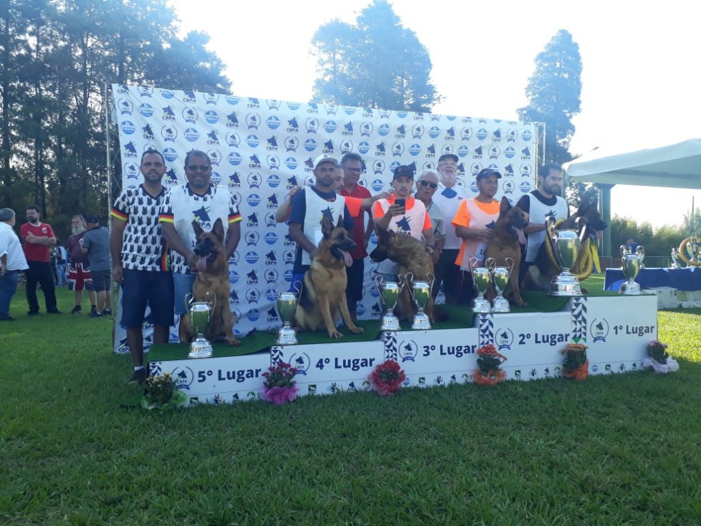 BE85C738FB6C4EF8FEE331991ED430D6