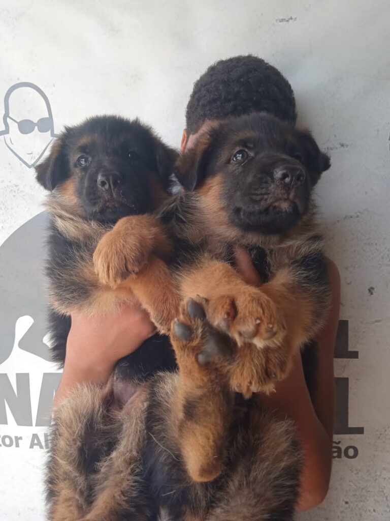 abd0d8ed-dbef-45df-b23f-be6c8e18d29b