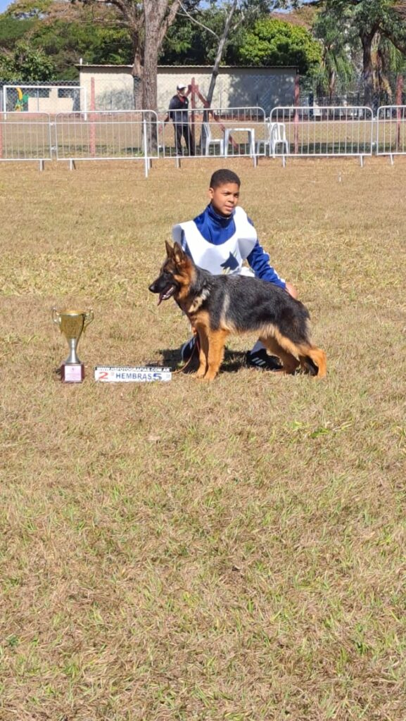 WhatsApp Image 2022-08-15 at 19.55.21