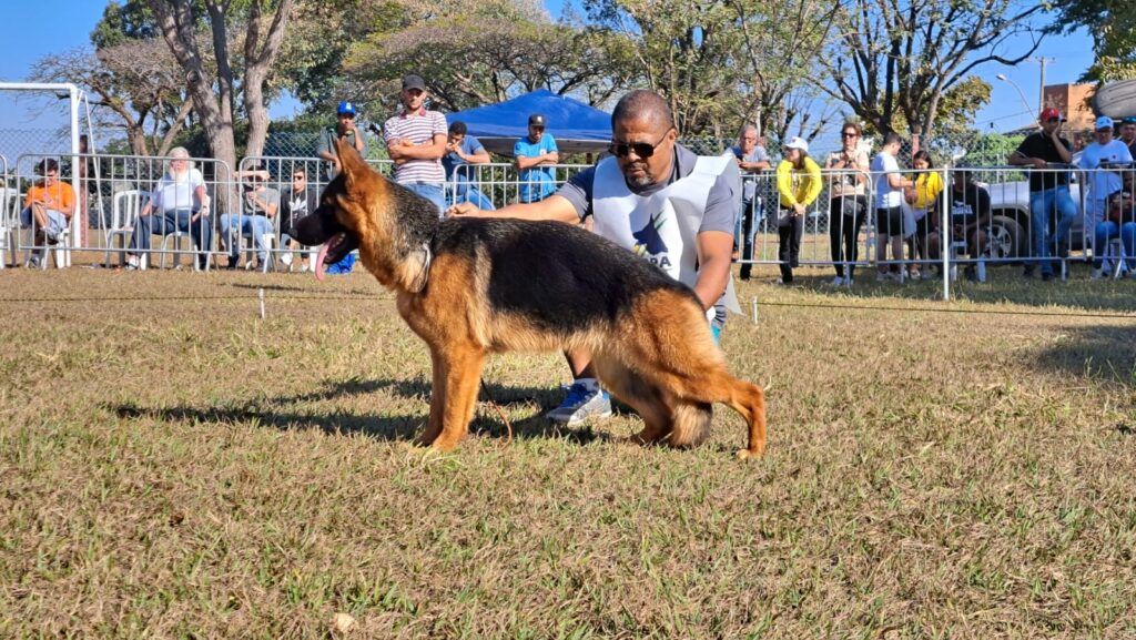 c643217d-be93-4679-8fc4-62308ace2fe4